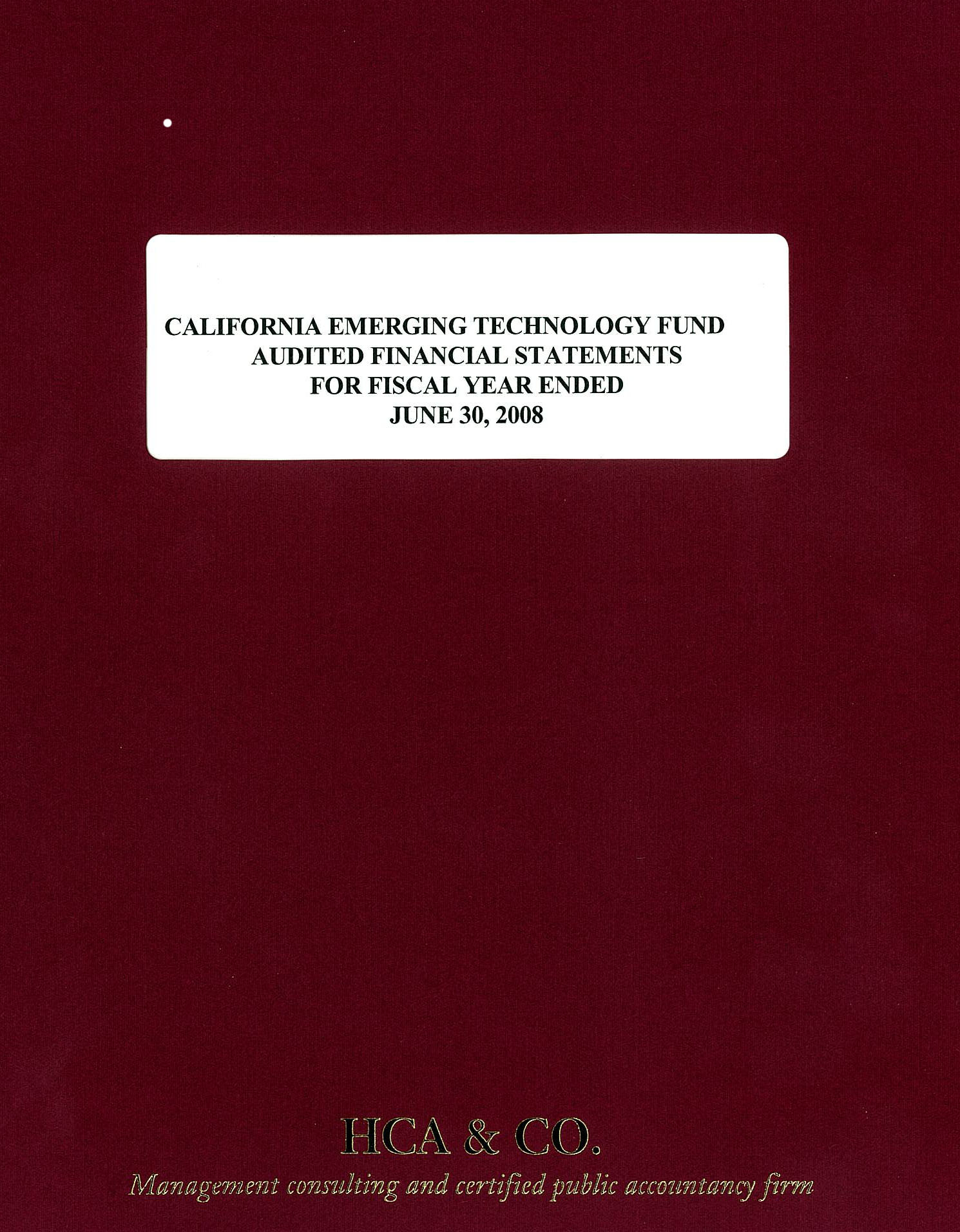 CETF Final Audit 2007-2008