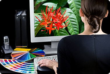 Graphic Designer working on a colorful orange blossom graphic
