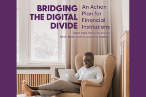 Rise Economy Bridging the Digital Divide:  An Action Plan for Financial Institutions portfolio thumbnail