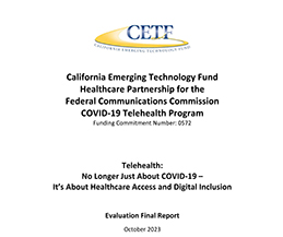 Telehealth:   No Longer Just About COVID-19 –  It’s About Healthcare Access and Digital Inclusion portfolio thumbnail